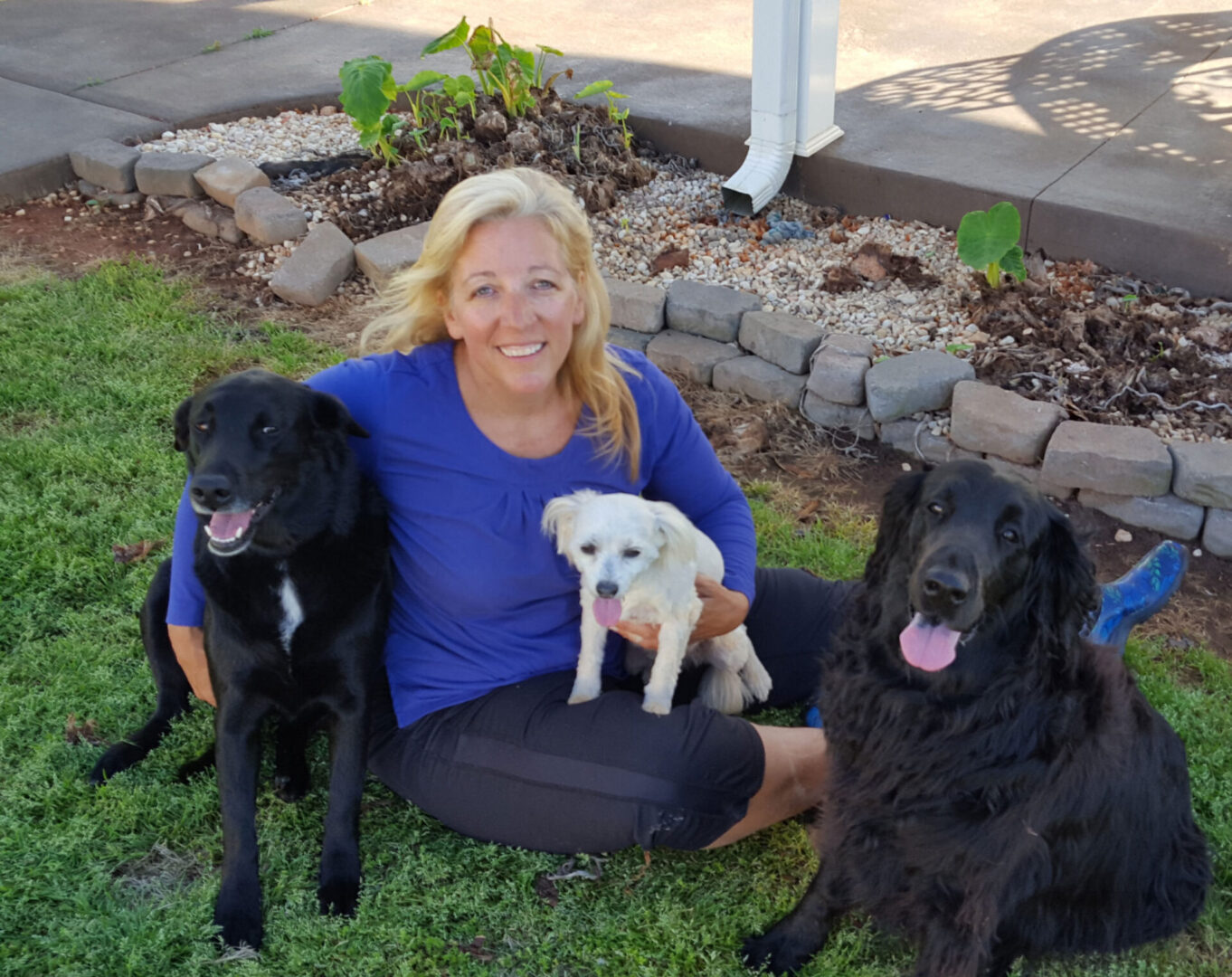 Woman sits with three black dogs.